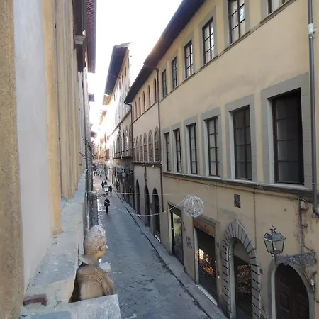Orchidea Florence