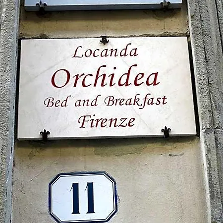 Panzió Orchidea 4*