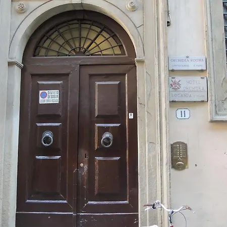 Orchidea Отель типа 