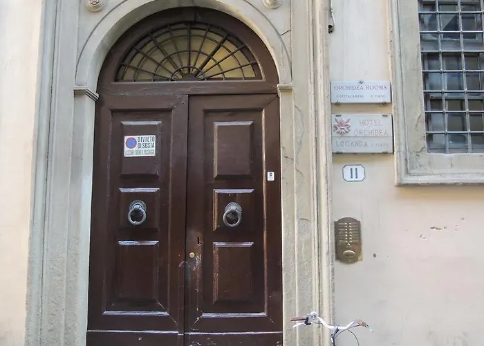 兰花住宿加早餐旅馆 住宿加早餐酒店